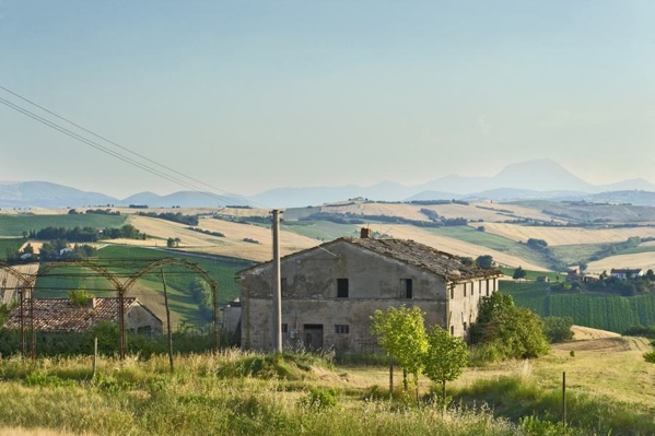 Casa colonica di campagna | Adriafin Immobiliare Casa colonica di campagna in locazione o in vendita | Adriafin Immobiliare