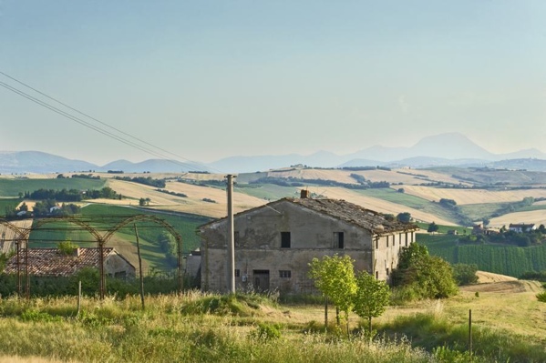 Casa colonica di campagna in locazione o in vendita | Adriafin Immobiliare