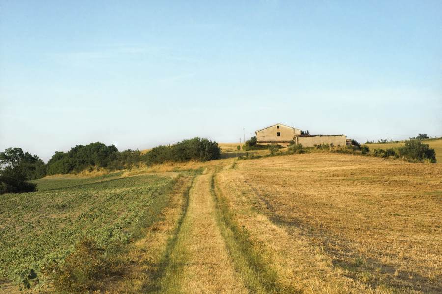 I casali | Adriafin Immobiliare Incremento di vendita di casali nelle marche | Adriafin Immobiliare